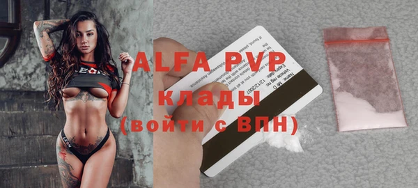 apvp Белокуриха