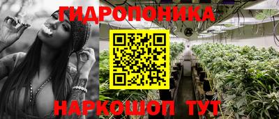 прущие крисы Лесосибирск