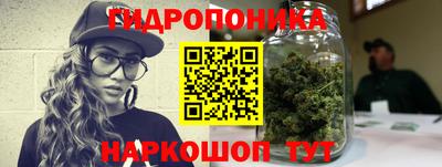 прущие крисы Лесосибирск