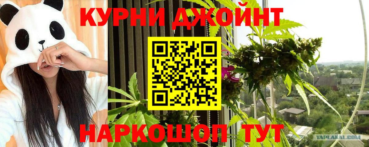 Канабис MAZAR Волжск